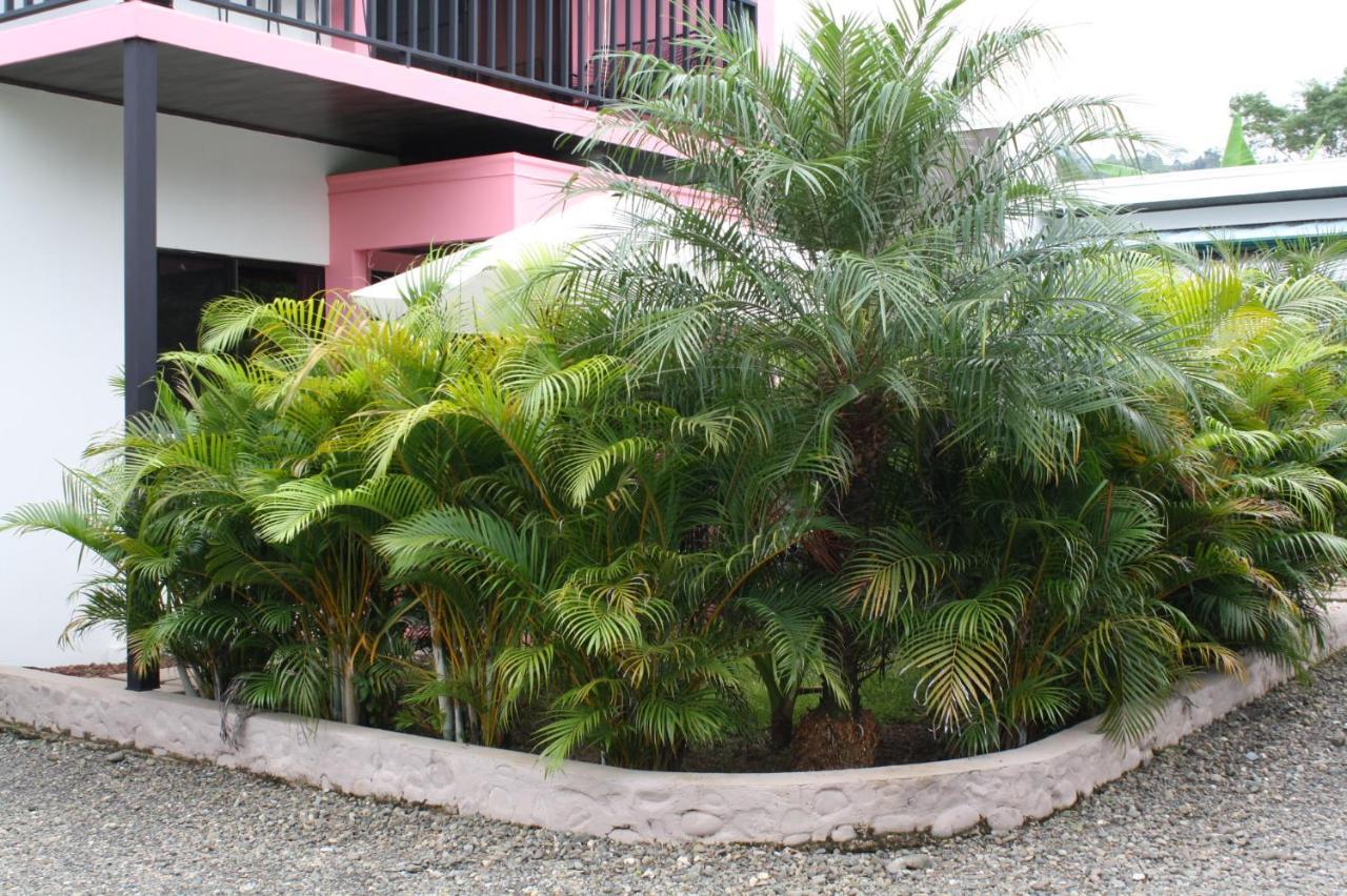 Hotel Daleese Uvita Extérieur photo